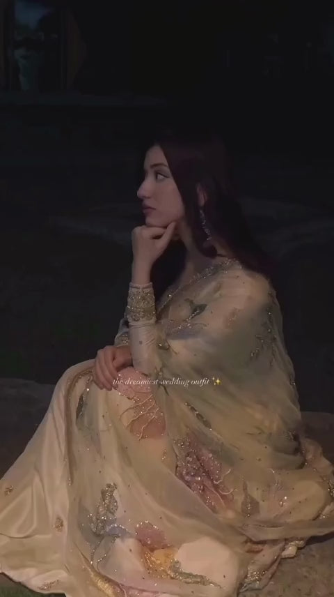 Cream Color Net Frock with Intricate Embroidery and Stone Work